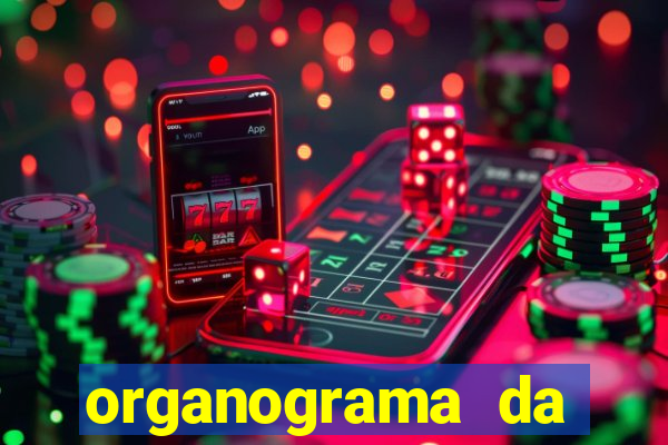 organograma da cacau show